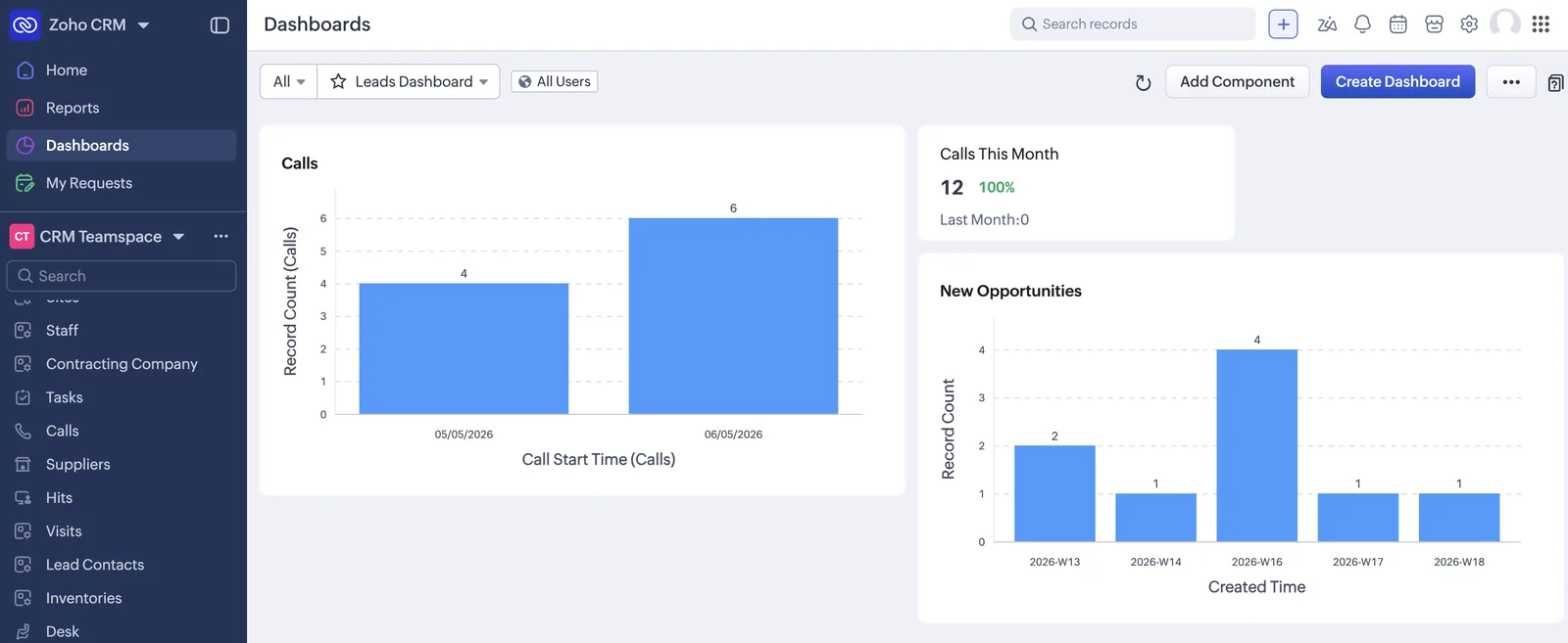 Leads & Calls Dashboard screenshot